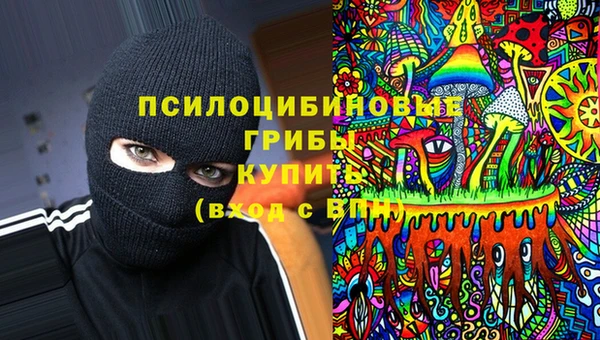 mdma Богородск