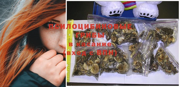 дурь Белокуриха