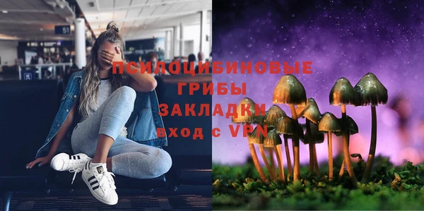 амф Богородицк